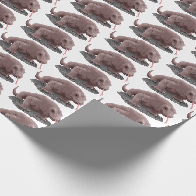 Papel De Regalo Ilustracion de dragón de Komodo (Esquina)