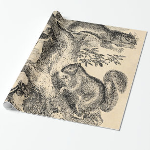 Papel De Regalo Ilustracion de las ardillas de los 1800s del