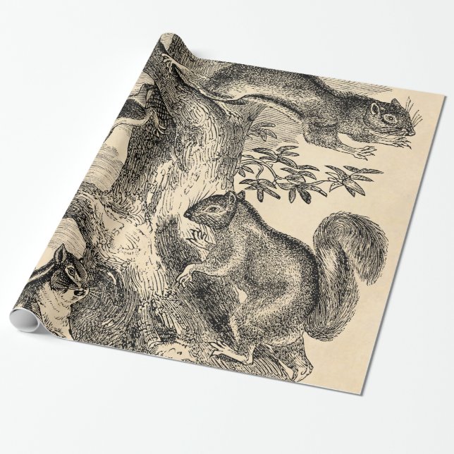 Papel De Regalo Ilustracion de las ardillas de los 1800s del (Desenrollado)