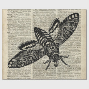 Papel De Regalo Ilustracion del vintage del insecto de la polilla