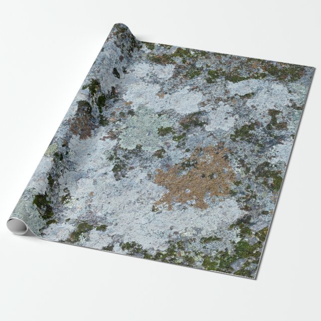Papel De Regalo Ilustracion gris y verde (Desenrollado)