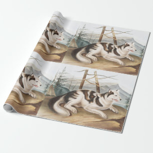 Papel De Regalo Ilustracion Hare Indian Dog (Canis familiaris)