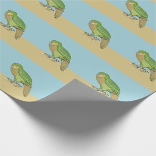 Papel De Regalo Ilustracion Kakapo