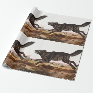 Papel De Regalo Ilustracion Lobo Norteamericano Negro (Canis lupus