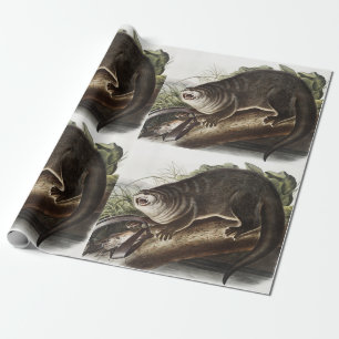 Papel De Regalo Ilustracion Otter (Lutra Canadensis) de Canadá