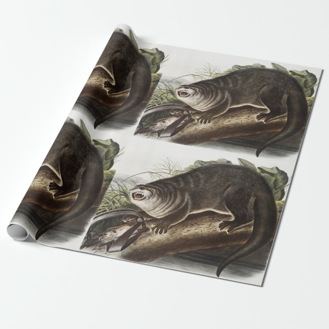 Papel De Regalo Ilustracion Otter (Lutra Canadensis) de Canadá (Desenrollado)