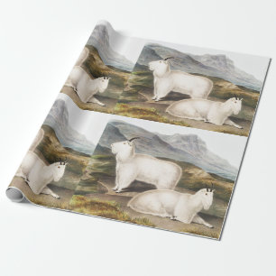 Papel De Regalo Ilustracion Rocky Mountain Goat (Capra Americana)