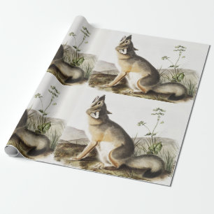 Papel De Regalo Ilustracion Swift Fox (Vulpes velox)