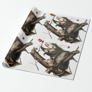Papel De Regalo Ilustracion Virginia Opossum Didelphis Virginia