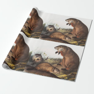 Papel De Regalo Ilustracion Woodchuck (Arctomys monax)