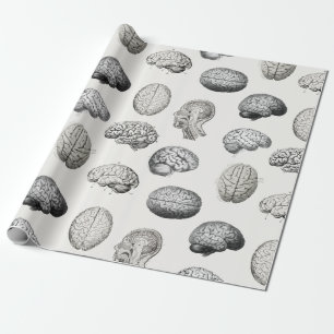 Papel De Regalo Ilustraciones de Anatomía Cerebral Biología Vintag