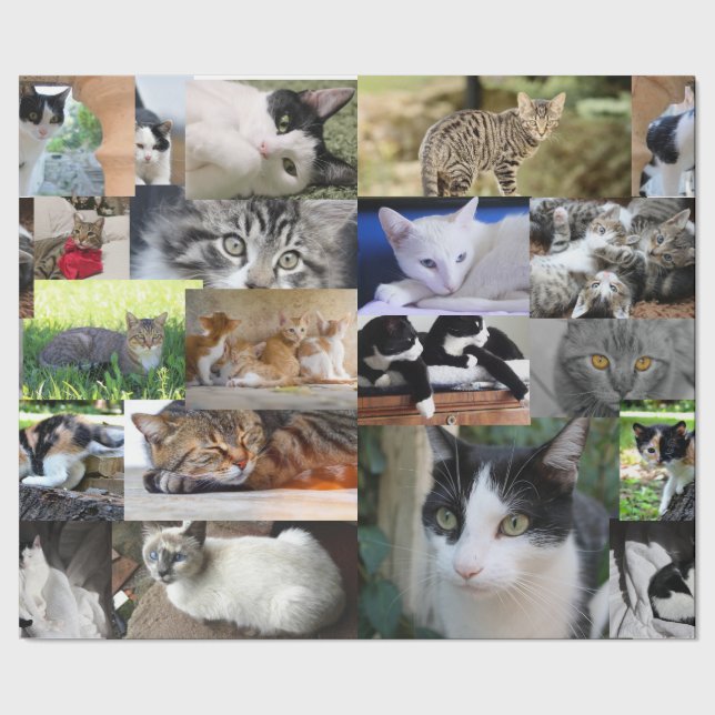 Papel De Regalo Imagen de diferentes gatos (Costura)