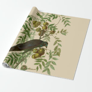 Papel De Regalo Impresión de pájaro Grackle púrpura de Audubon Vin