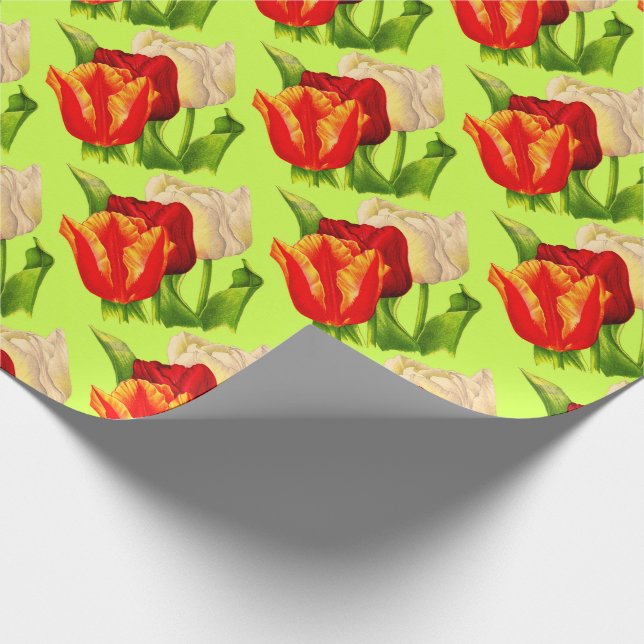 Papel De Regalo impresión de tulipanes (Esquina)