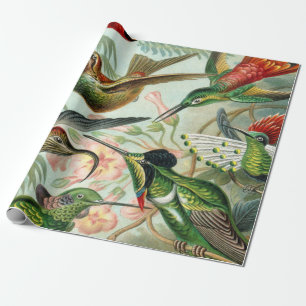 Papel De Regalo Impresión del arte de Ernst Haeckel: Trochilidae