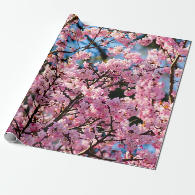 Papel De Regalo Impresionante Árbol Sakura En Bloom Rosa (Desenrollado)