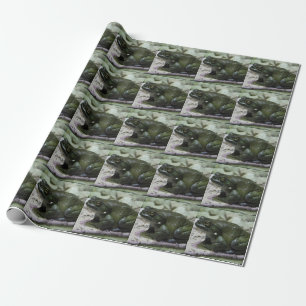 Papel De Regalo Incilius alvarius