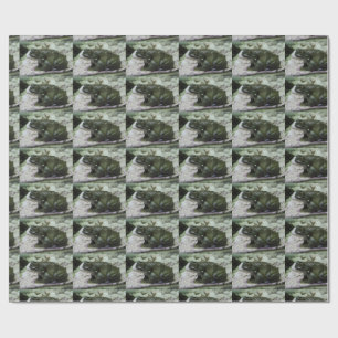 Papel De Regalo Incilius alvarius