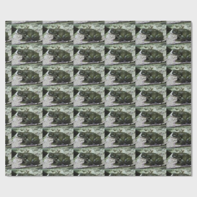 Papel De Regalo Incilius alvarius (Superficie plana)