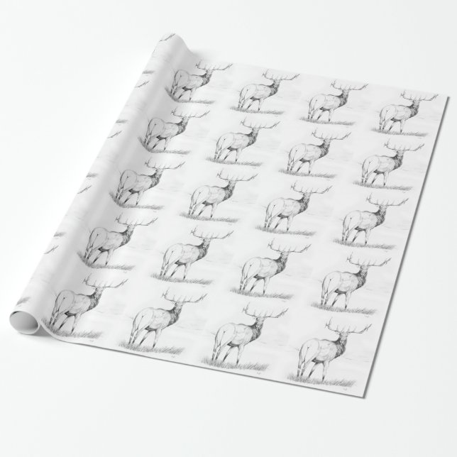Papel De Regalo Indecisión (Desenrollado)