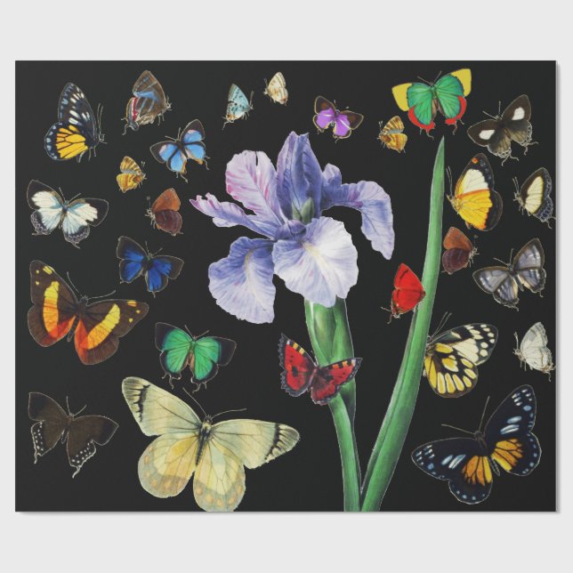 Papel De Regalo IRIS ENTRE COLORIDAS BUTTERFLIES Black Floral (Superficie plana)