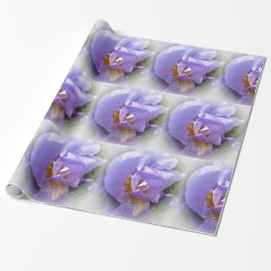 Papel De Regalo iris morado