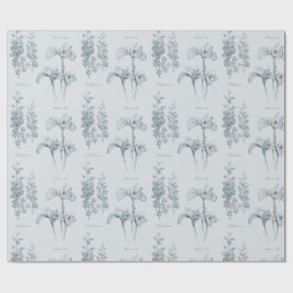 Papel De Regalo Iris y Delphinium Garden