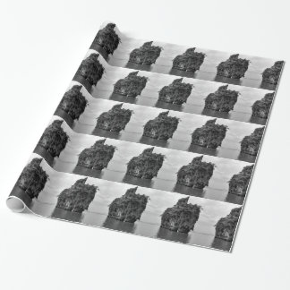 Papel De Regalo Isla de James Bond