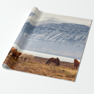 PAPEL DE REGALO ISLANDIA