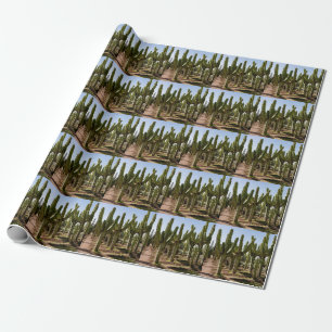 Papel De Regalo Jardín Cacti, paisaje tropical del desierto.