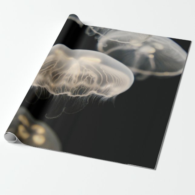 PAPEL DE REGALO JELLYFISH BLANCO (Desenrollado)