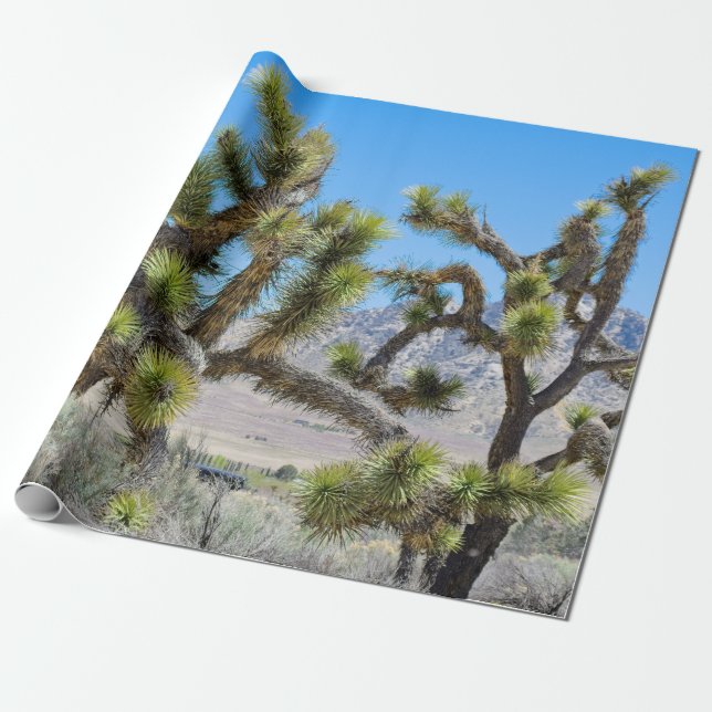 Papel De Regalo Joshua Tree en California (Desenrollado)