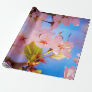 Papel De Regalo Juego De Luz En Sakura