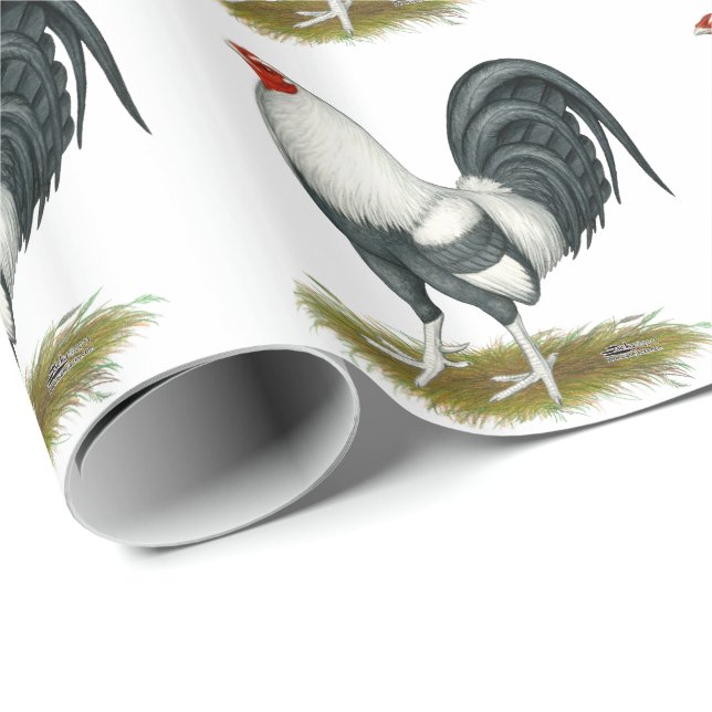 Papel De Regalo Juego Silver Blue Gamecock americano (Esquina del rollo)