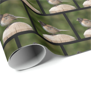 Papel De Regalo Junco de Ojos Oscuros - Fotografía de Aves de Arte