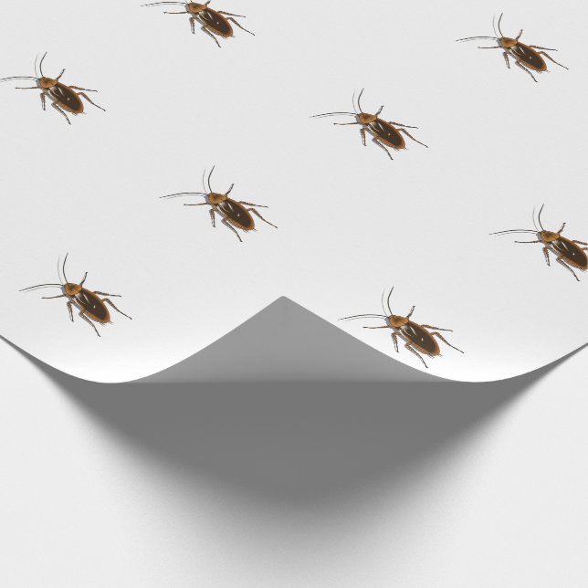 Papel De Regalo Kafka (Esquina)