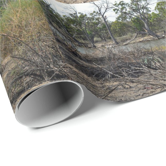 Papel De Regalo Kangaroo, Mientras Tanto En El Billabong, (Esquina del rollo)