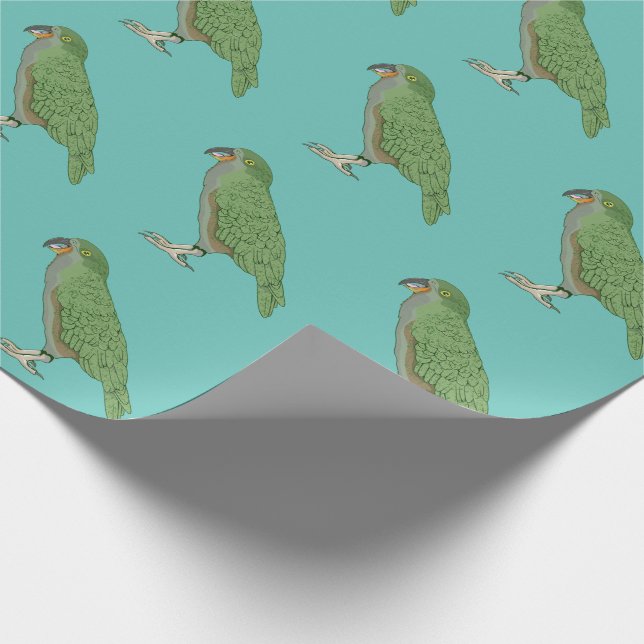 Papel De Regalo Kea New Zealand Bird (Esquina)