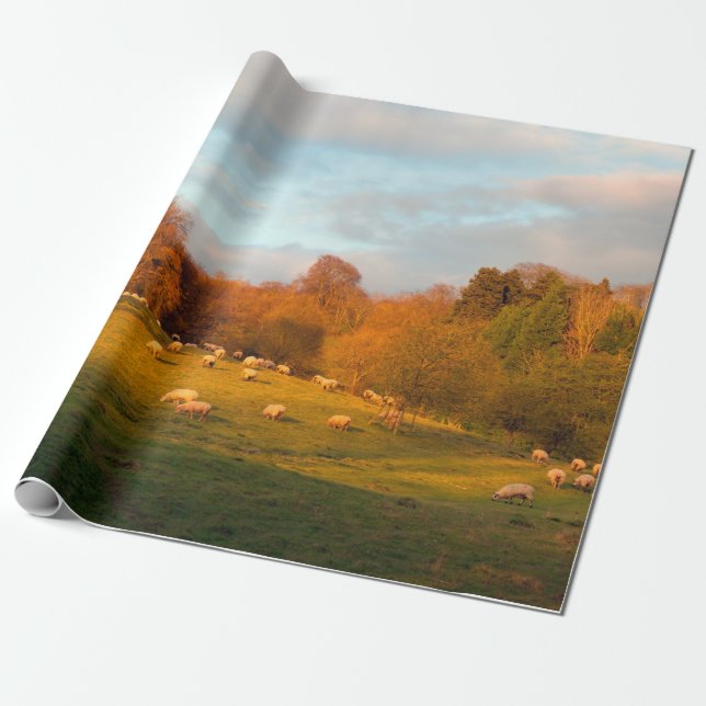 Papel De Regalo Kiftsgate (Desenrollado)