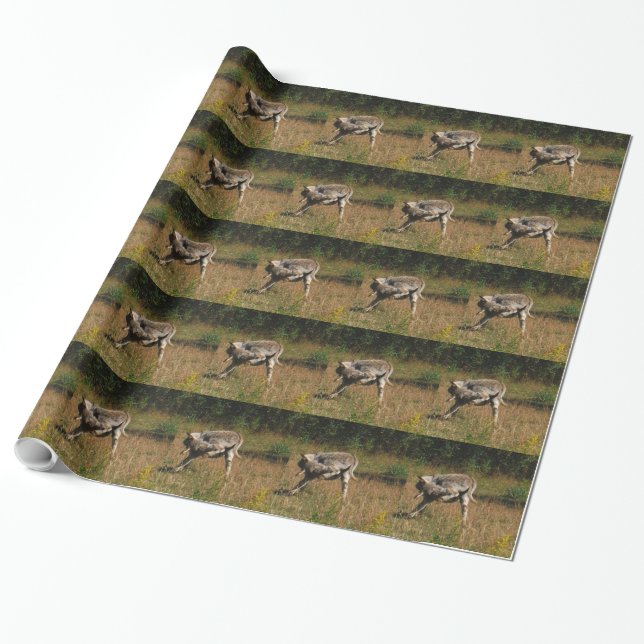 Papel De Regalo Kissing Butt Donkey (Desenrollado)