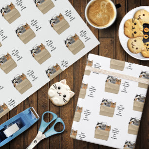 Papel De Regalo Kit de inicio de la dama del gato