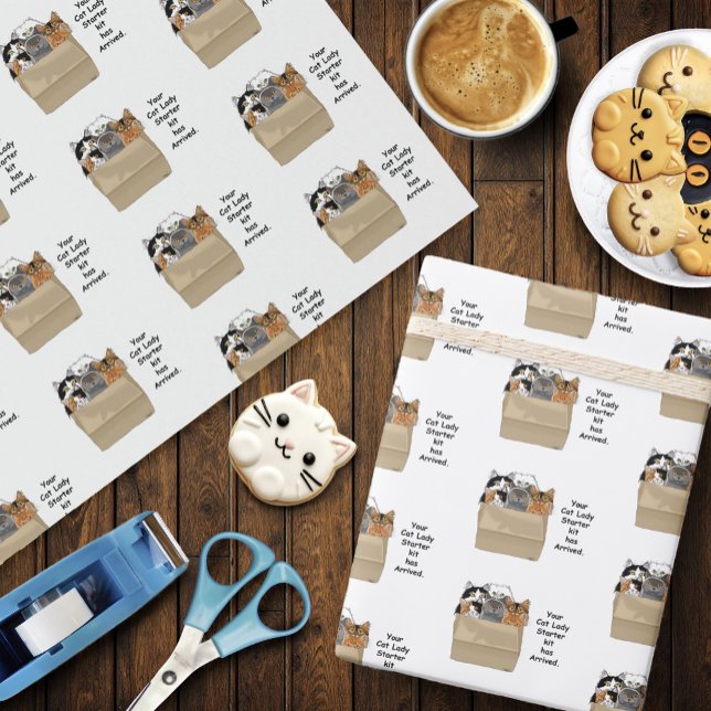 Papel De Regalo Kit de inicio de la dama del gato (Subido por el creador)