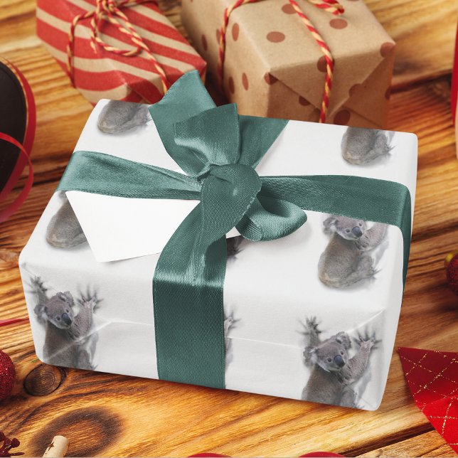 Papel De Regalo Koala Hang En Un Animal De Australia (Subido por el creador)