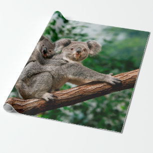 Papel De Regalo Koala, phascolarctos cinereus, hembra que te lleva