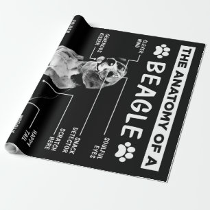 Papel De Regalo La Anatomía De Un Perro Beagle