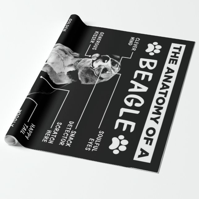 Papel De Regalo La Anatomía De Un Perro Beagle (Desenrollado)