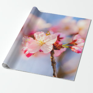 Papel De Regalo La Belleza Brillante De Las Flores De Sakura Rosa