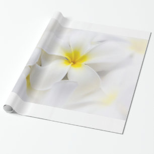 Papel De Regalo La flor de Hawaii del Frangipani del Plumeria
