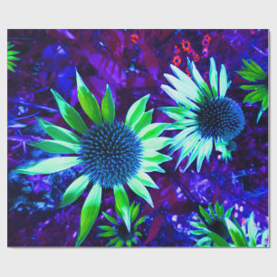 Papel De Regalo La floración de Echinacea oriental