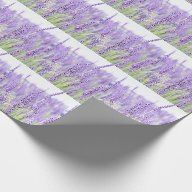 Papel De Regalo La lavanda coloca la fotografía, diversos regalos (Esquina)